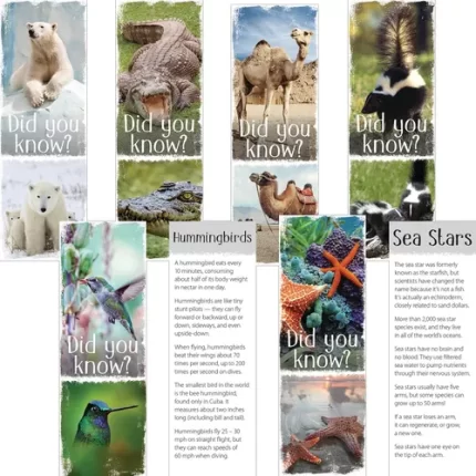 demco® upstart® animal fun facts set 2 bookmarks polar bear, sea star, skunk, camel, crocodile, humming bird