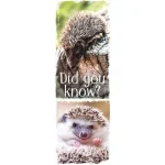 demco? upstart? animal fun facts set 3 bookmarks llama, orangutan, sloth, hedgehog, owl, flamingo