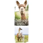 demco? upstart? animal fun facts set 3 bookmarks llama, orangutan, sloth, hedgehog, owl, flamingo