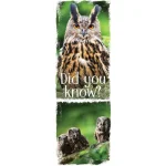 demco? upstart? animal fun facts set 3 bookmarks llama, orangutan, sloth, hedgehog, owl, flamingo