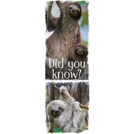 demco? upstart? animal fun facts set 3 bookmarks llama, orangutan, sloth, hedgehog, owl, flamingo