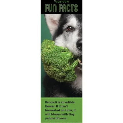 demco® upstart® fun facts food bookmarks