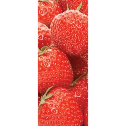 demco® upstart® strawberry scratch and sniff bookmarks