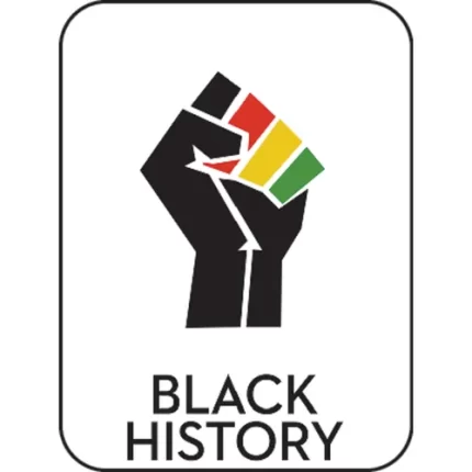 demco® genre subject classification labels black history