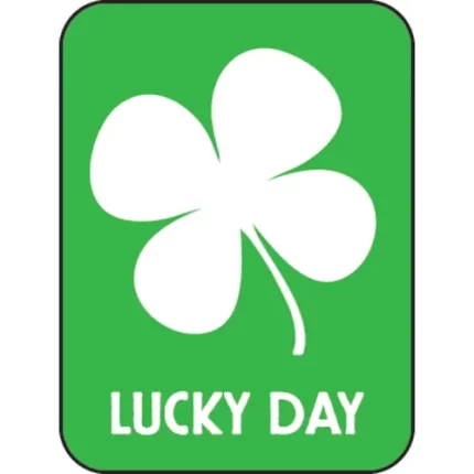 demco® modern genre subject classification labels lucky day