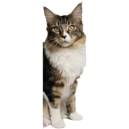 demco® upstart® cute cat bookmarks