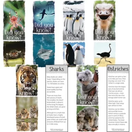demco® upstart® fun facts animals bookmarks spider, shark, penguin, ostrich, tiger, koala