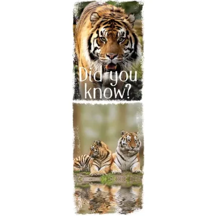 demco® upstart® fun facts animals bookmarks spider, shark, penguin, ostrich, tiger, koala