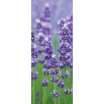 demco® upstart® lavender scratch and sniff bookmarks