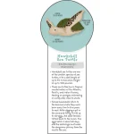 demco® upstart® endangered animals die cut bookmarks