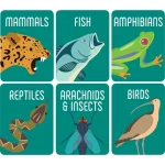 demco® nonfiction classification label sets animals ready to ship