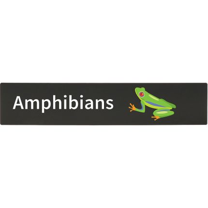 Demco® Bookshelf Sign - Amphibians With Graphics