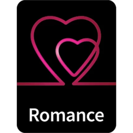 demco® flare genre classification labels romance